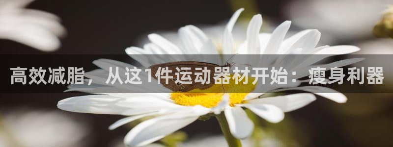 fb体育招商电话号码：高效减脂，从这1件运动器材开始