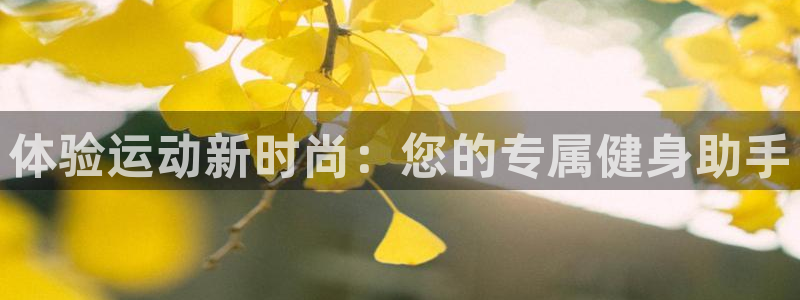 fb体育五金厂：体验运动新时尚：您的专属健身助手