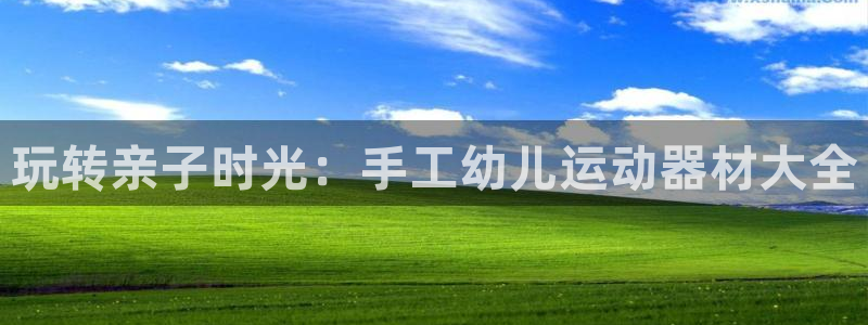 fb体育平台注册要钱吗：玩转亲子时光：手工幼儿运动器