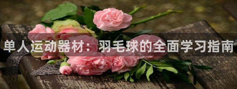 fb体育招商电话地址：单人运动器材：羽毛球的全面学习