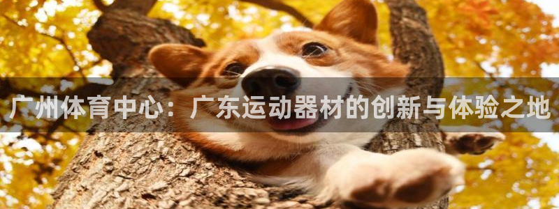 fb体育五金厂：广州体育中心：广东运动器材的创新与体验之地