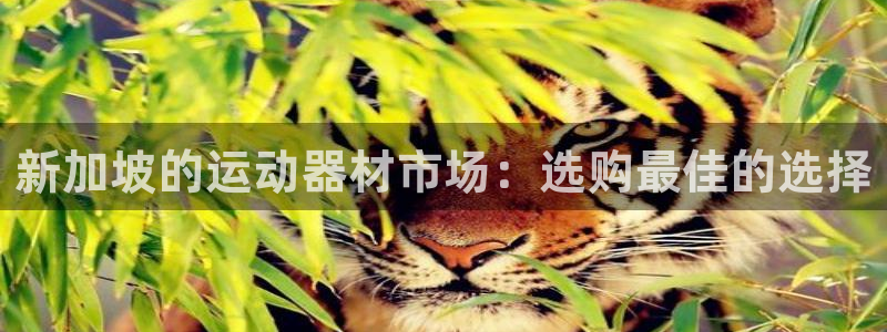 fb体育官方：新加坡的运动器材市场：选购最佳的选择