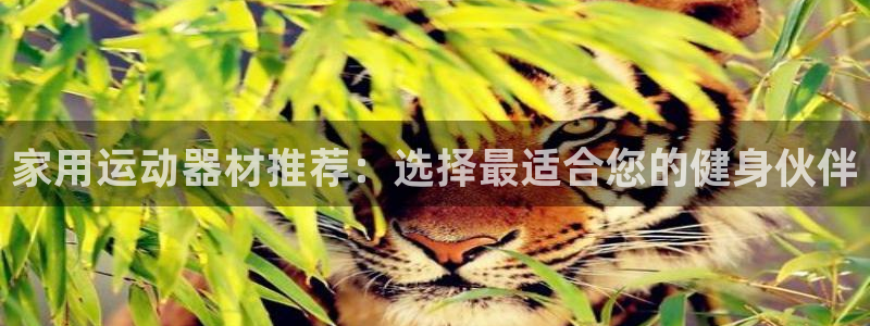 fb体育神州：家用运动器材推荐：选择最适合您的健身伙