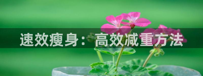 fb体育平台APP：速效瘦身：高效减重方法