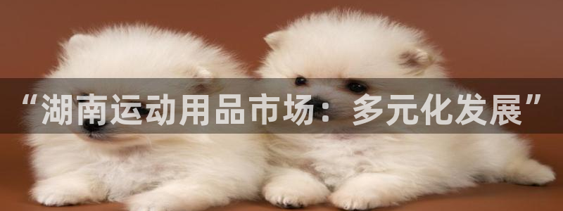 fb体育平台：“湖南运动用品市场：多元化发展”