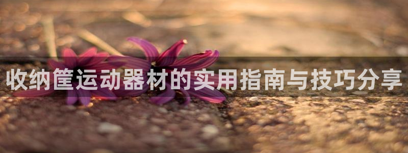 fb体育平台注册流程视频：收纳筐运动器材的实用指南与技巧分享