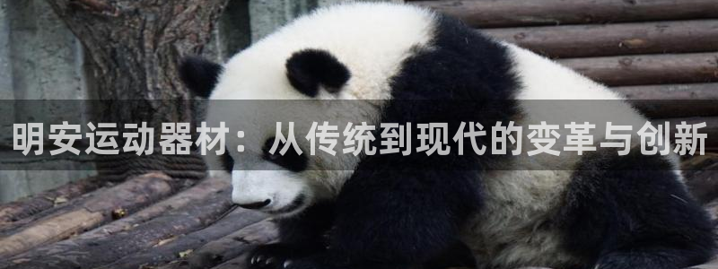 fb体育平台：明安运动器材：从传统到现代的变革与创新