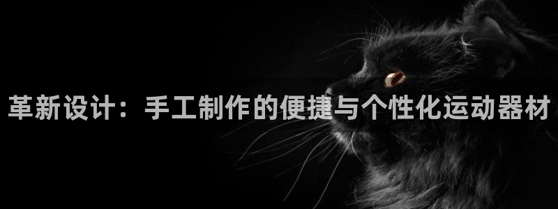 fb体育集团简介：革新设计：手工制作的便捷与个性化运动器材