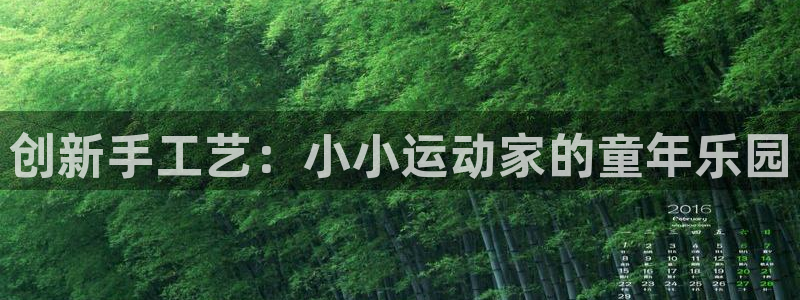 fb体育官方：创新手工艺：小小运动家的童年乐园