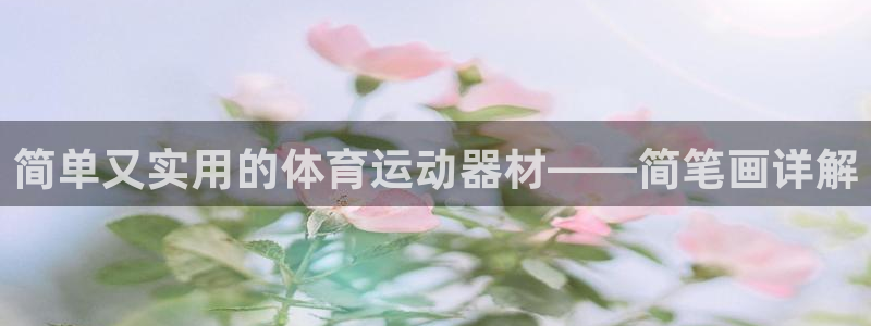 fb体育招商电话地址查询：简单又实用的体育运动器材——简笔画