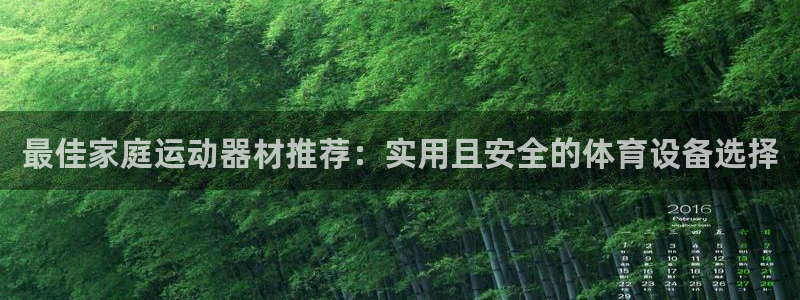 fb体育五金厂：最佳家庭运动器材推荐：实用且安全的体育设备选