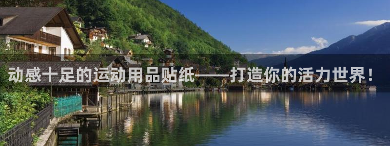 fb体育是干嘛的公司：动感十足的运动用品贴纸——打造