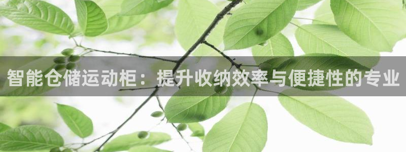 fb体育平台注册要钱吗：智能仓储运动柜：提升收纳效率与便捷性